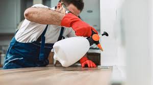 Best Pest Prevention Services  in Summerde, AL